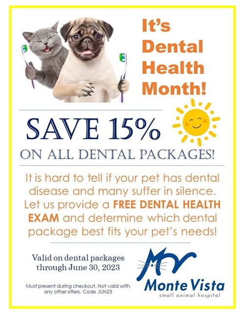 Dental Care, Turlock Vet