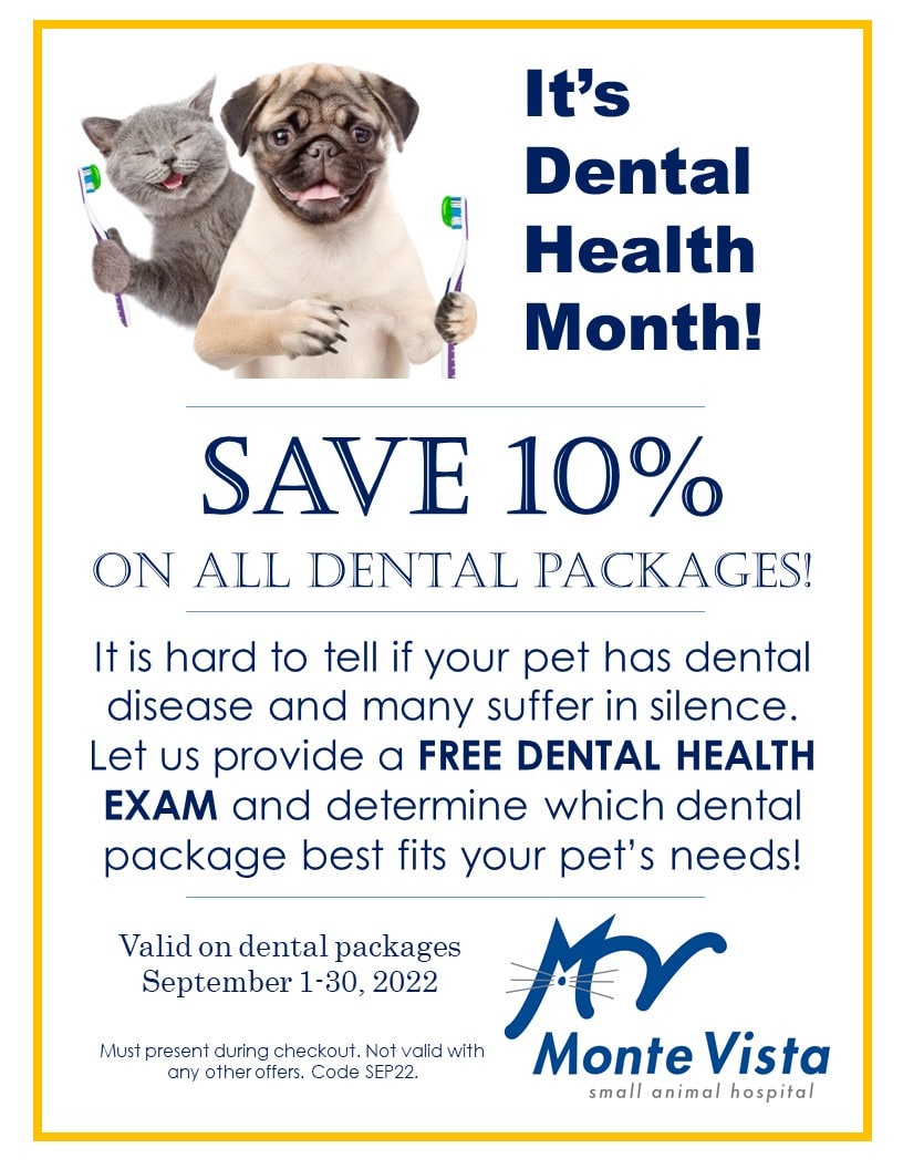 Monte Vista Save 10% on dental services